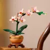 LEGO ICONS 10343 The Botanical Collection – Miniorhidee