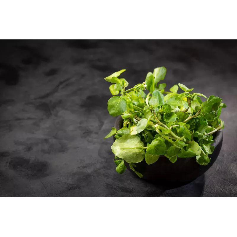 Watercress Toraf köögiviljaseemned, 0,2 g pakend