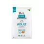 Kuiv koeratoit Brit teraviljavaba Adult Salmon 3 kg — väike tõug, 26% valku, kartul