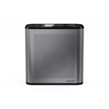Kaasaskantav digitaalraadio Sharp DR-P530 (OSAKA) USB-pordi, Bluetoothi ja FM-raadioga