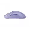 hiir Steelseries 62525 RF Wireless + Bluetooth