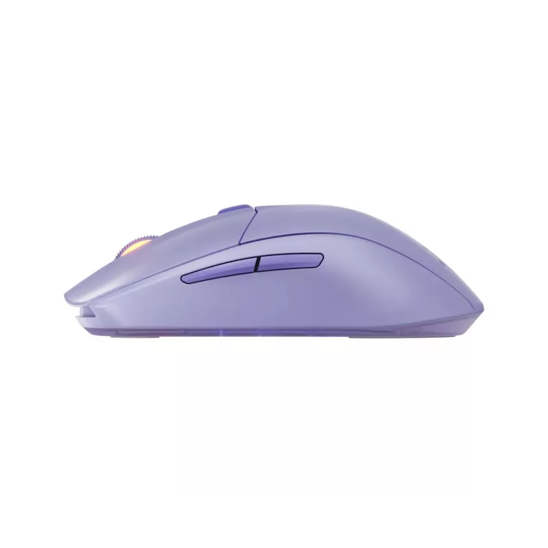 hiir Steelseries 62525 RF Wireless + Bluetooth