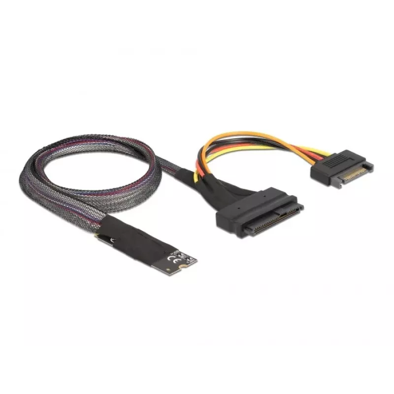 DeLOCK M.2 Key M kuni U.2 SFF-8639 NVMe adapter 50 cm kaabliga