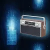 Kaasaskantav raadio MANTA RDI917PRO Bluetoothi ja USB-esitusega