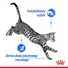 Märg kassitoit Royal Canin Indoor Sterilized 85 g kott — täiskasvanud toas elavatele kastreeritud kassidele, linnuliha maitsega, pakendis 12 x 85 g