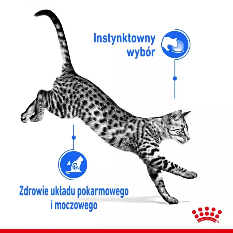 Märg kassitoit Royal Canin Indoor Sterilized 85 g kott — täiskasvanud toas elavatele kastreeritud kassidele, linnuliha maitsega, pakendis 12 x 85 g