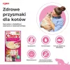 INABA Churu tuunikala ja kreveti maitsega - kassimaiused - 4x14 g