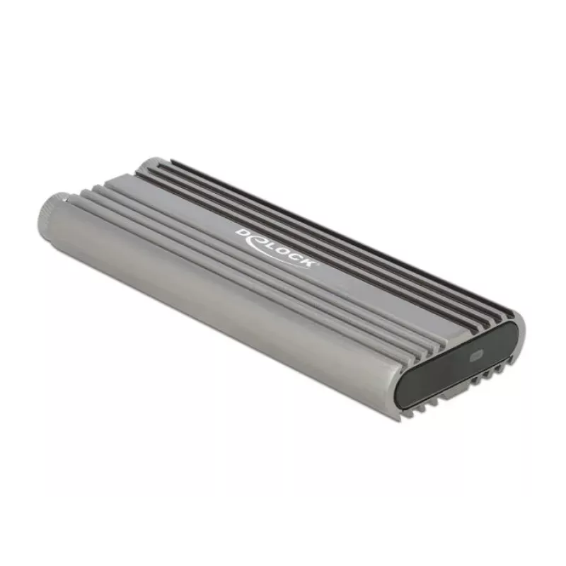 SSD-korpus DeLOCK 42001 Silver M.2
