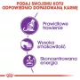 Kuiv kassitoit Royal Canin Sensible 33 Adult — 2 kg, valk 33%, rasv 22%, seedimist toetav, linnuliha maitse