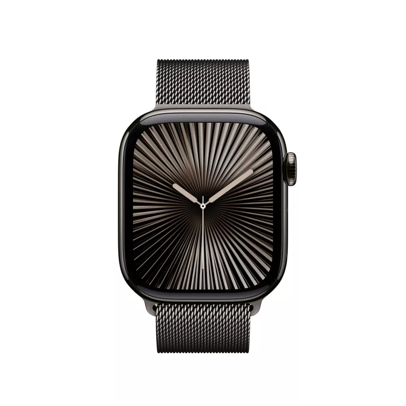 Band Apple 42mm Slate Milanese Loop hall