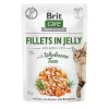 Märg kassitoit kotikestes Brit Care FJ Flavour Box tarretises 12 x 85 g