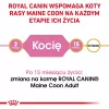 ROYAL CANIN Maine Coon Kitten- kuiv kassitoit - 4 kg