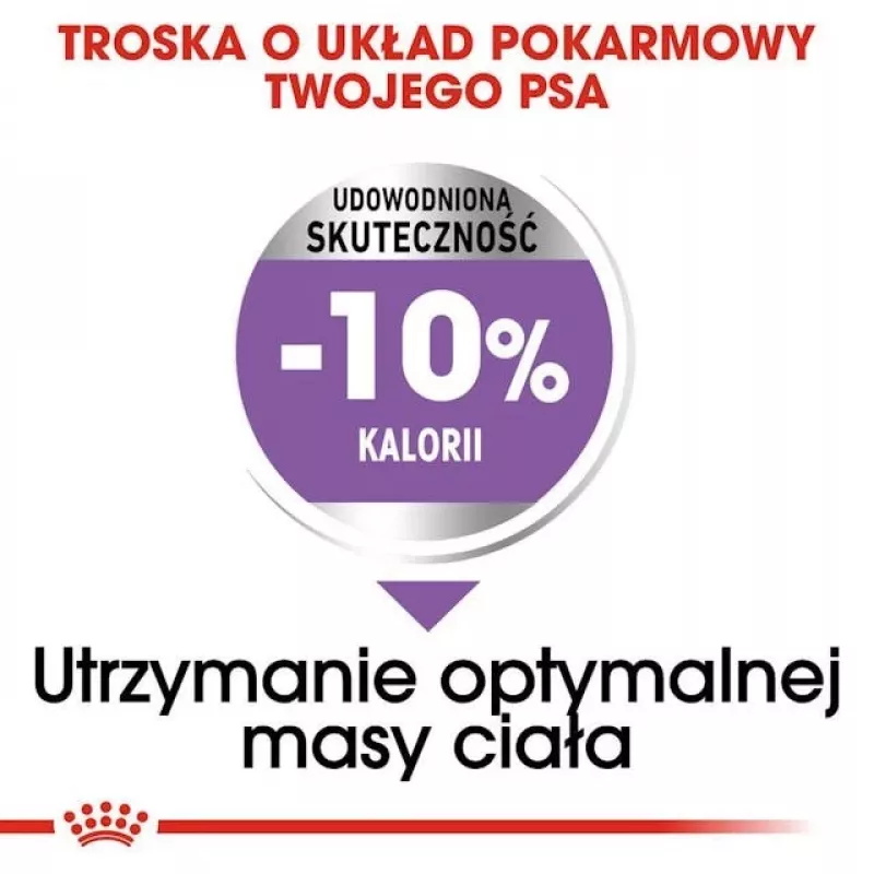 Kuiv koeratoit Royal Canin Medium Sterilised Adult 12 kg — steriliseeritud keskmise tõu täiskasvanud koertele, linnuliha, valk 28%, rasv 13%