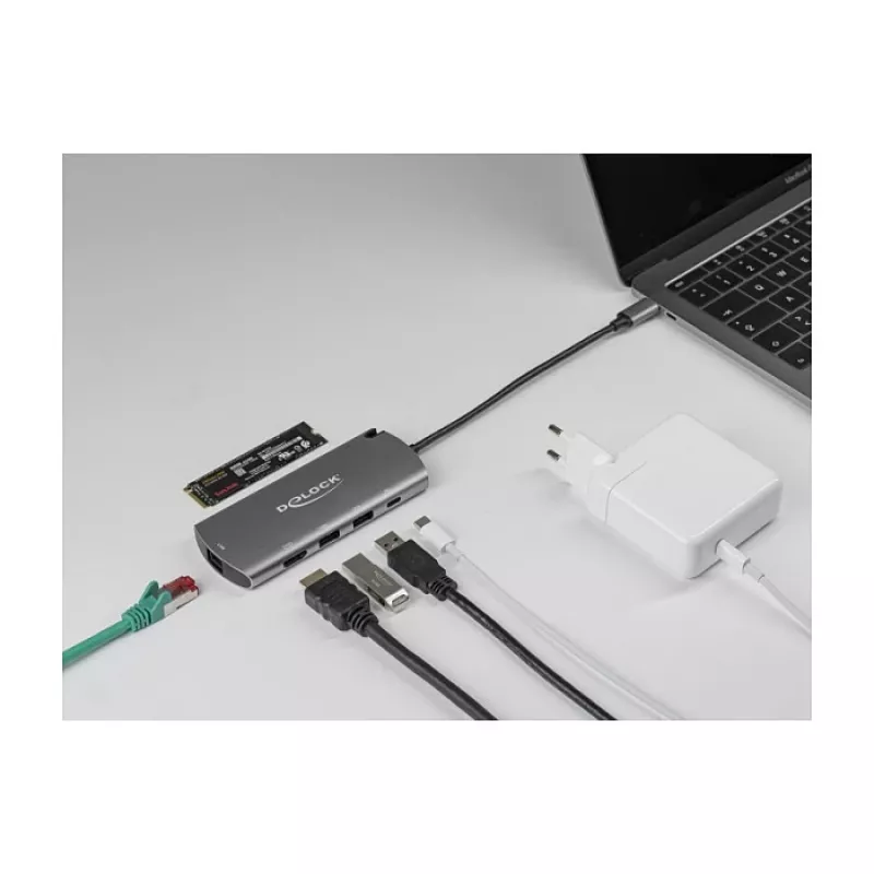 Dokkimisjaam DeLOCK USB-C dokkimisjaam M.2 pesaga