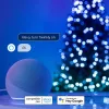 Twinkly Candies LED jõulutuled TWKC100RGB-T 6 M küünlakujulised