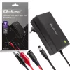 Akulaadija QOLTEC 12V 2A 24W mudel 52661