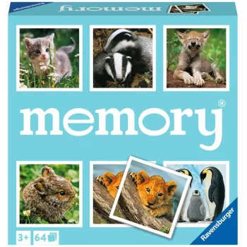 memory loomapojad, mälumäng