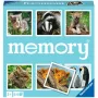 memory loomapojad, mälumäng