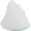 NATEC Crake 2 Pro hiir Universal Paremakäeline USB Type-A Optiline 12800 DPI