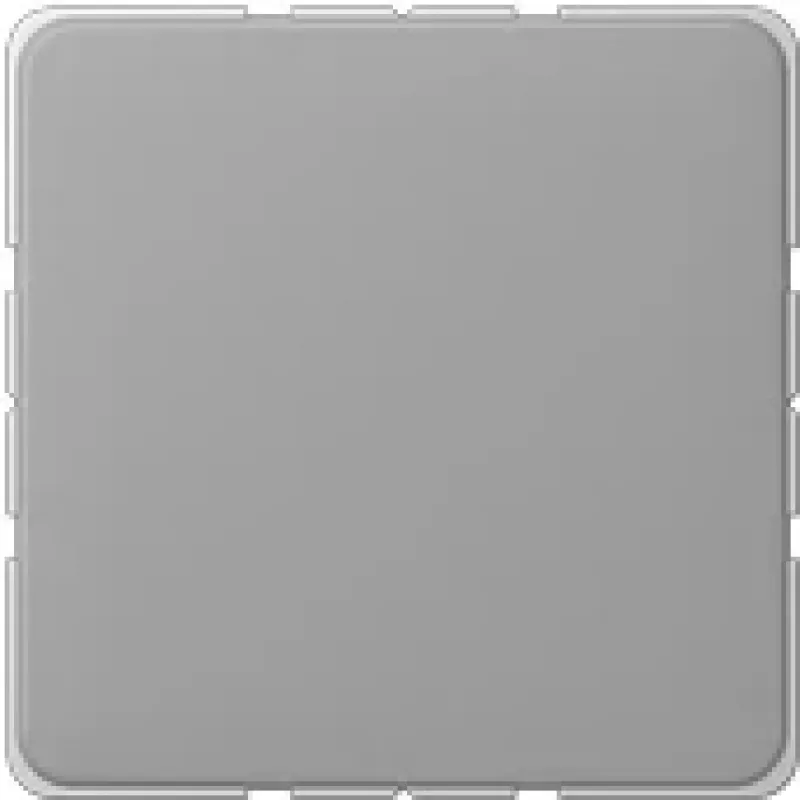 Seinalüliti katteplaat JUNG CD 594-0 GR Hall, termoplast, kruvivaba disain