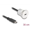 USB-kaabel DeLOCK 88183 0,3 m USB-C must hõbedane