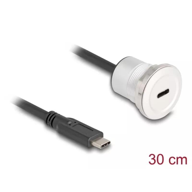 USB-kaabel DeLOCK 88183 0,3 m USB-C must hõbedane