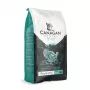 Canagan kuiv kassitoit Dental 1,5kg Canagan kuiv kassitoit Dental 1 on kassitoit firmalt Other. Ehtne Other toode — MPN: · EAN: