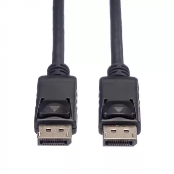 DisplayPort-kaabel ROLINE 11445761 1 m Must