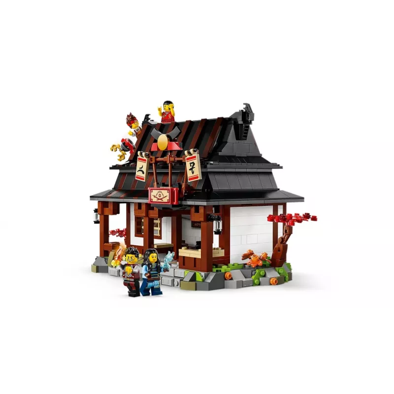 LEGO NINJAGO 71858 Nelja Relva Sepikoda – 15. aastapäev