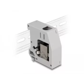 DeLOCK DIN-liistu adapter RJ45 pesa RJ45 pesale Cat.6A Hall