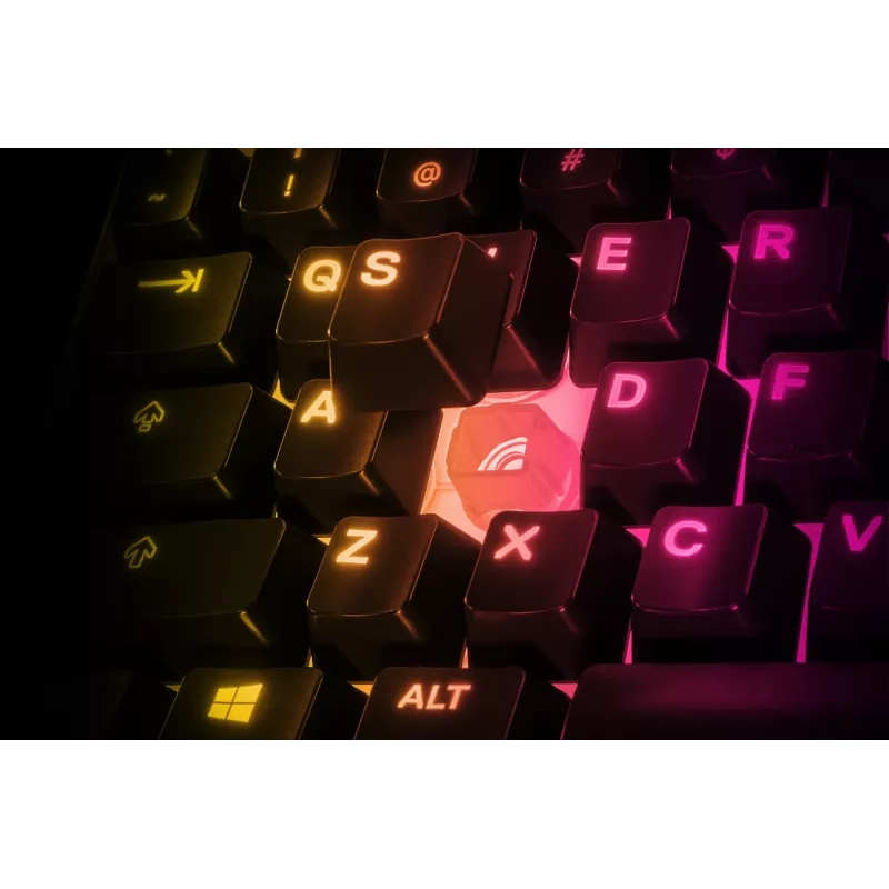 Steelseries APEX 3 TKL klaviatuur USB QWERTY US English must
