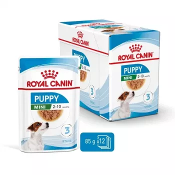 ROYAL CANIN SHN Mini Puppy kastmes - märg kutsikatoit - 12X85g