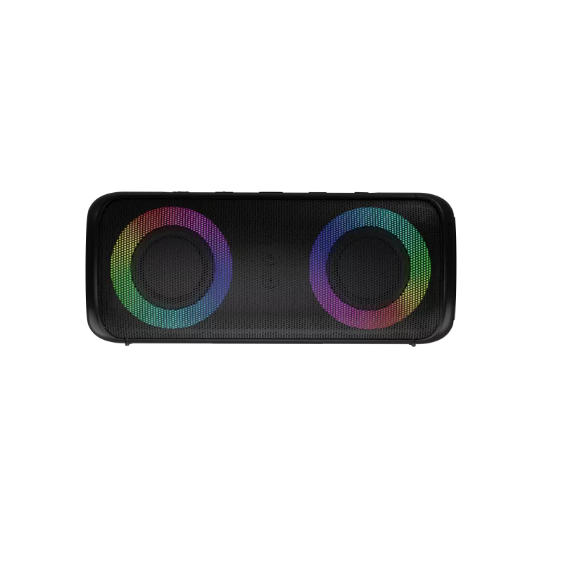 Stereo kaasaskantav kõlar Audictus Aurora Pro 20 W