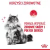 ROYAL CANIN Hair&Skin Care Adult - kuiv kassitoit - 400g