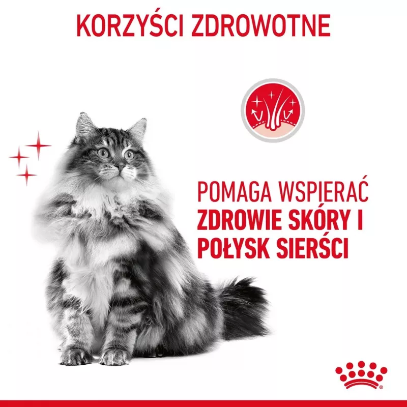 ROYAL CANIN Hair&Skin Care Adult - kuiv kassitoit - 400g