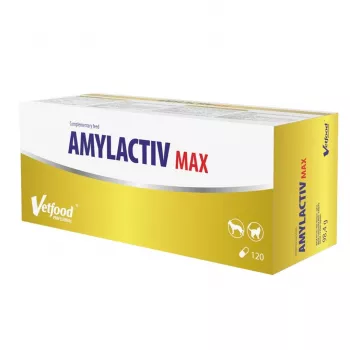 Toidulisand Vetfood Amylactiv MAX — seedetoetustabletid koertele ja kassidele, 120 kapslit, 100 g, soja- ja gluteenivaba