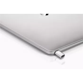 Wentronic Goobay USB-C™ Adapter - USB 2.0 Micro-B-Buchse, Silber - zum Verbinden eines USB-C™ Gerätes mit einem USB 2.0 Micro-B Kabel (56636)