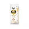 Brit Fresh Adult kuiv koeratoit 12 kg, kana, õun, tatar, kartul
