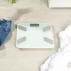 Klaasist analüsaatorkaal Salter SA00601WCFEU12