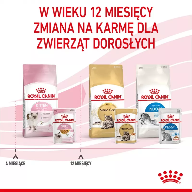 Märg kassipoegade toit Royal Canin Kitten Jelly 85 g — kanamaitseline, 85 g kotike, 12 tk
