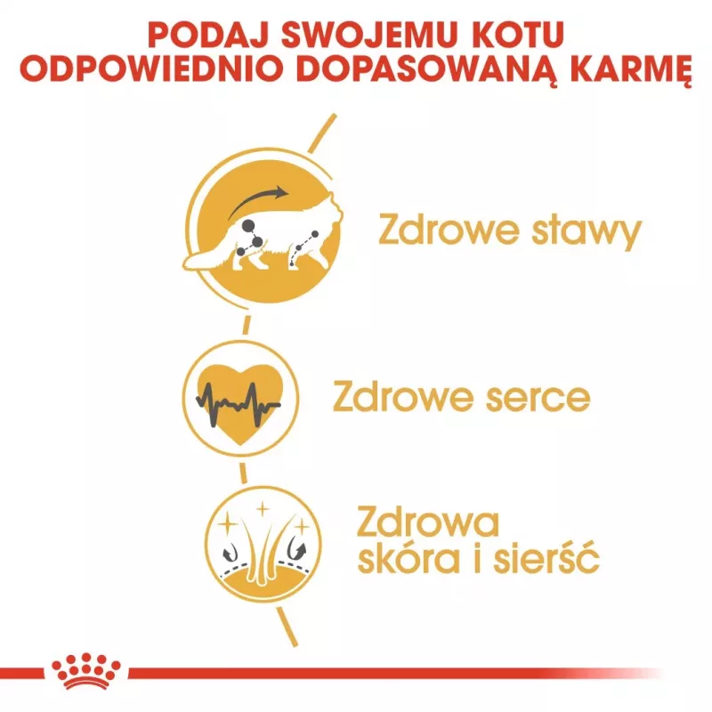 Kuiv kassitoit Royal Canin Maine Coon Adult 10 kg — linnuliha (kana), 31% valku, 20% rasva