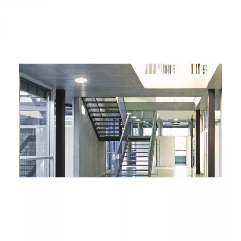 Sisevalgusti Steinel RS PRO P2 lame S PMMA 16 W 1810 lm IP54 neutraalvalge liikumisanduriga