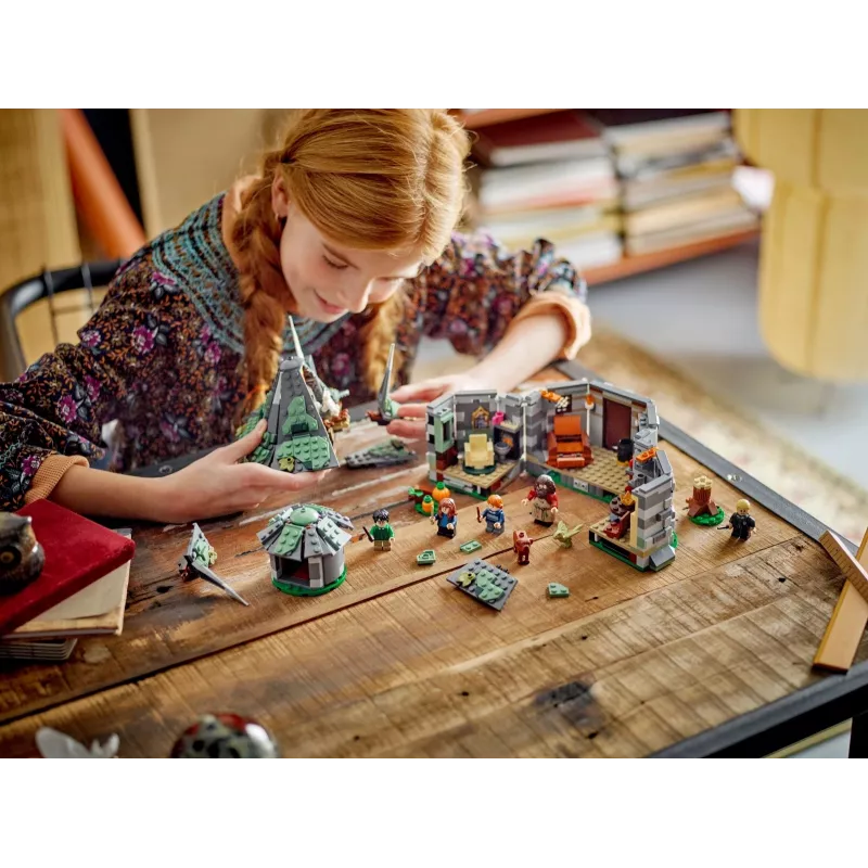LEGO HARRY POTTER 76428 Hagridi onn – ootamatu külaskäik