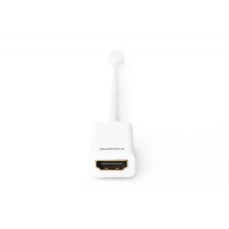 DisplayPort adapterkaabel Digitus Mini DP HDMI Type A-sse