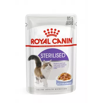 ROYAL CANIN FHN Sterilised kastmes - märg toit täiskasvanud kassidele - 12x85g