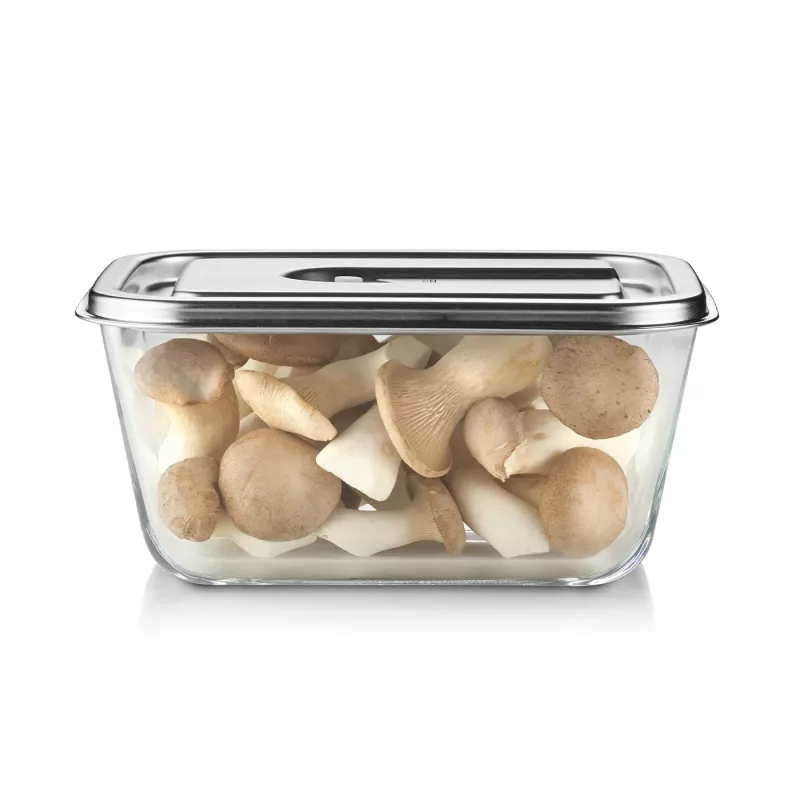 Caso klaasist vaakumkonteiner plastkaanega | VacuBoxx Stainless Steel XL | Läbipaistev