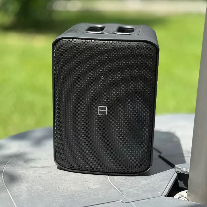 Kaasaskantav kõlar Tellur Bluetooth Speaker Buzz, Must