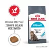 Royal Canini Urinary Care kuiv kassitoit 4 kg
