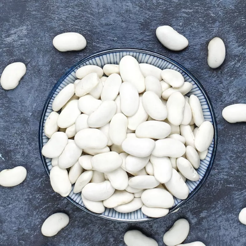 Seemnepakend Seklos LT PNOS — kuivad oad 'Igłomska' seemned, 50 g