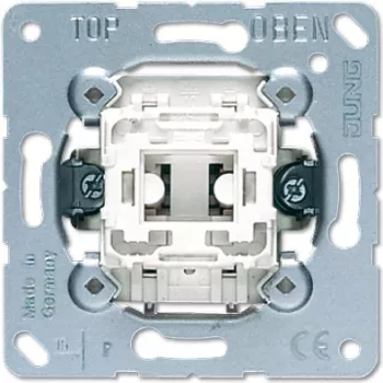 Surulüliti JUNG 534 U, 1P, 250 V AC, 10 A, metallvalge